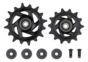 ROLDANA SRAM X0 T-TYPE EAGLE AXS 12V PRETA