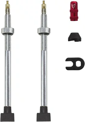 VÁLVULA TUBELESS EFFETTO MARIPOSA 100MM PRATA